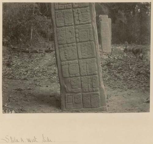 Stela A, lower portion of west side