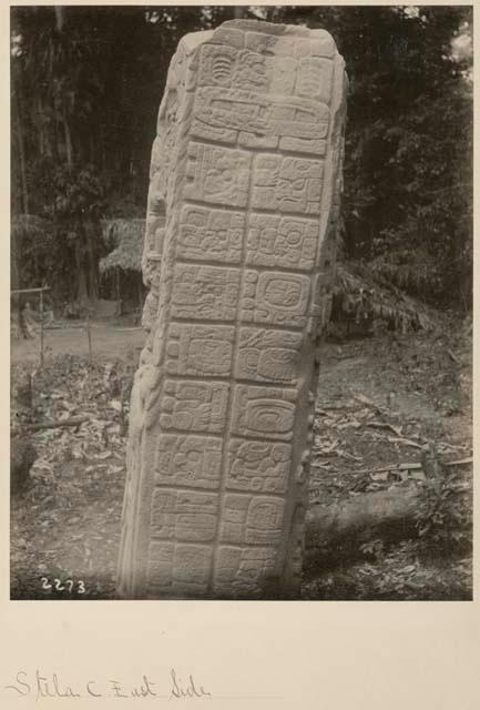 Stela C, upper portion of east side