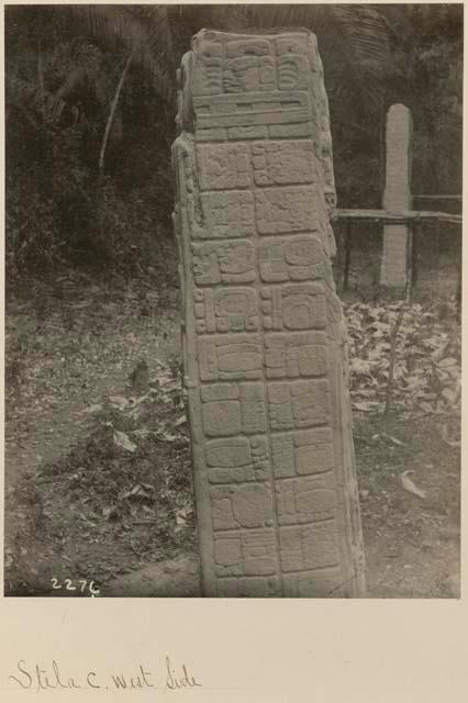 Stela C, upper portion of west side