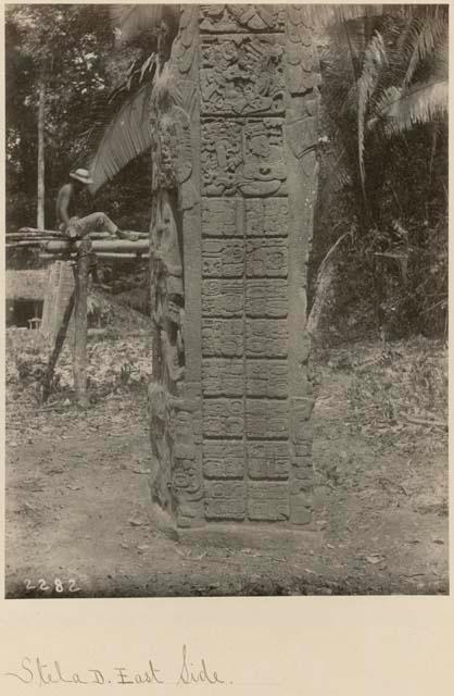 Stela D, lower portion of east side, man in background