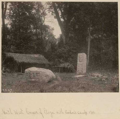 Northwest corner of Plaza of George Gordon's camp, view of Stelae A, C, and Sculpture B