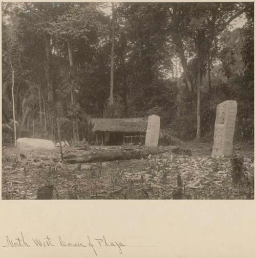 Northwest corner of Plaza of George Gordon's camp, view of Stelae A, C, and Sculpture B