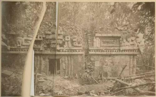 Palace covered with vegetation