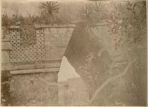 Man under Arch covered with vegetation