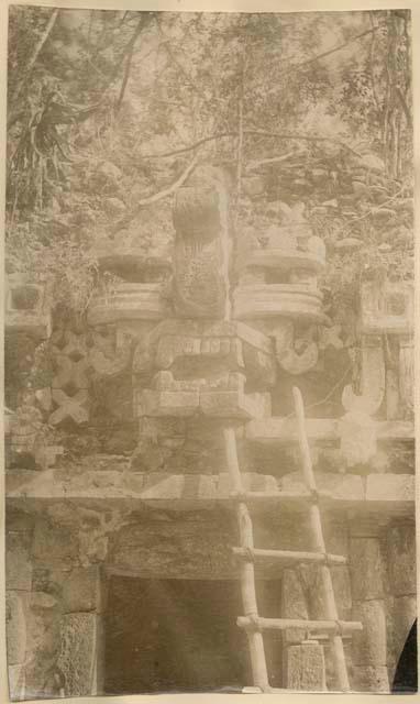 Mask of the Maya rain God "Chaac" covered with vegetation