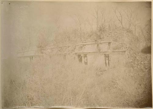 Palace covered with vegetation, men standing in galleries