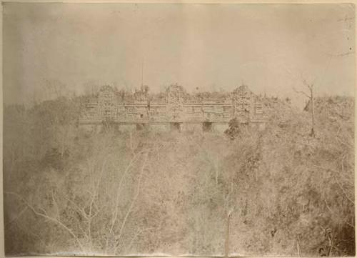 Structure, possibly the Nunnery, covered in vegetation