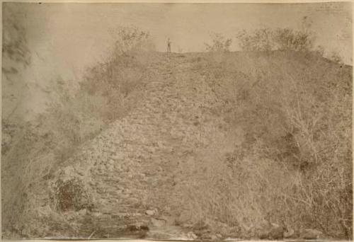 Person standing atop Great Mound covered with vegetation