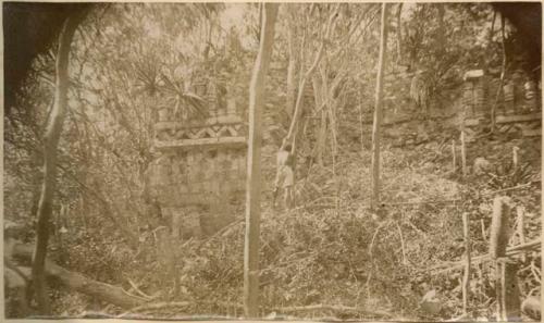 Structure covered in vegetation