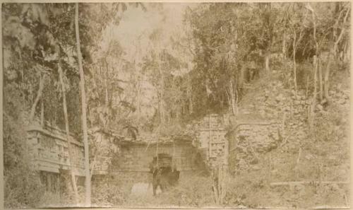 Structure covered in vegetation, possibly in Xkichmook