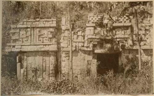 Structure covered in vegetation, possibly in Xkichmook