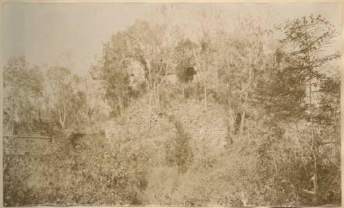 Structure covered in vegetation, possibly in Xkichmook