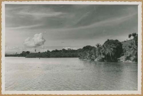 View of shore, Chiriquí Lagoon