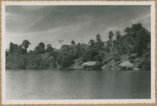 View of shore, Chiriquí Lagoon