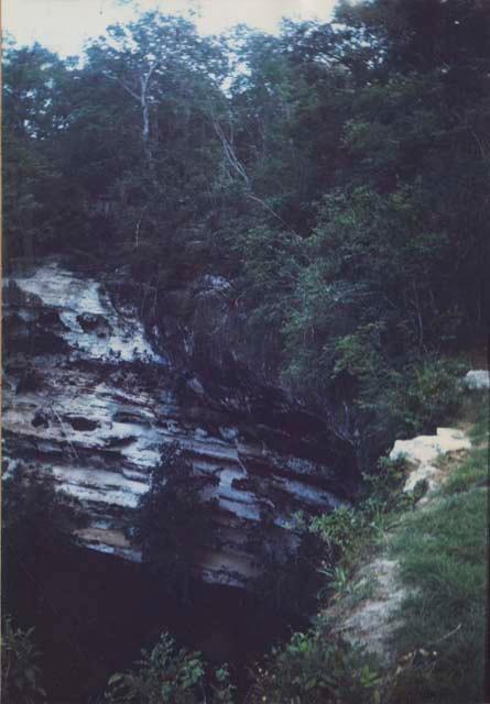 Sacred Cenote