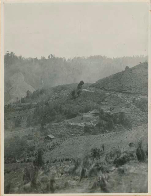 View of fields from road between Quetzaltenango and Huehuetenango