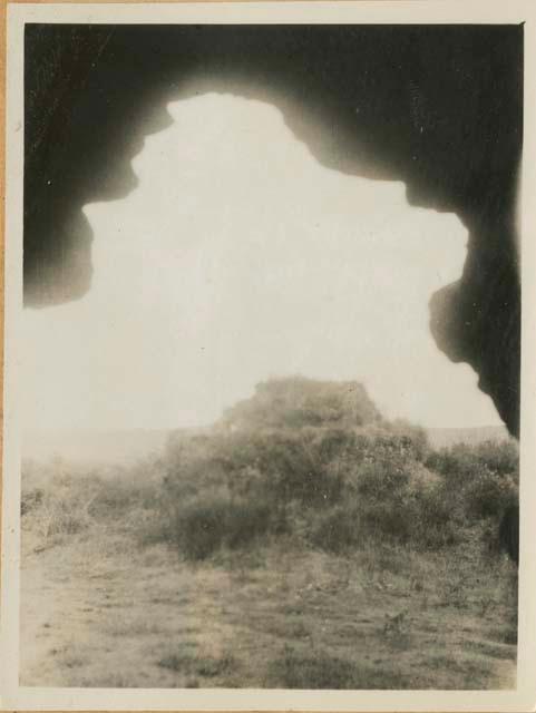 View of structure covered in vegetation from cave