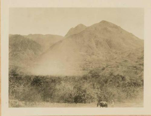 Man with horse, in front of mountain