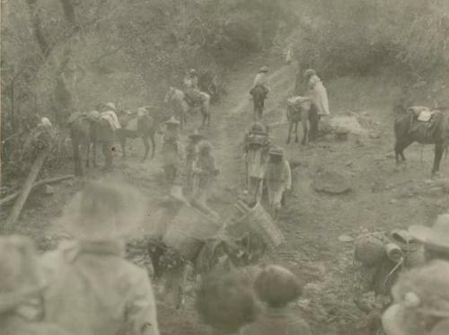 Group with baskets and pack animals