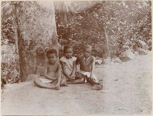 Three children sitting in front of tree