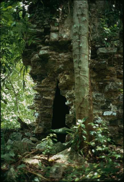 Yaxchilan, Stucture 33, southwest corner