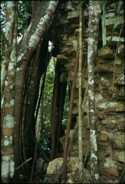 Yaxchilan, Structure 33, southeast end