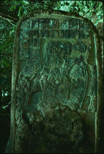 Dos Pilas, Stela 14, upper half