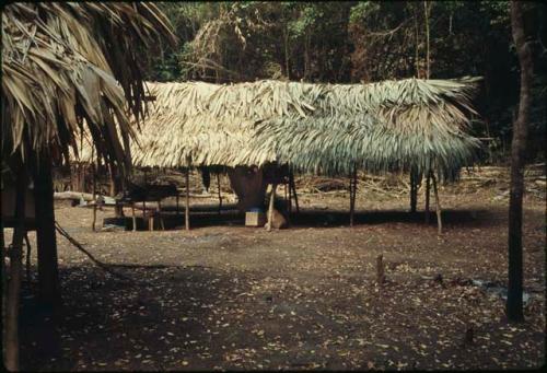 Camp at Naranjo
