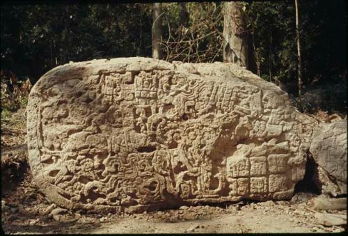 Yaxha, Stela 31