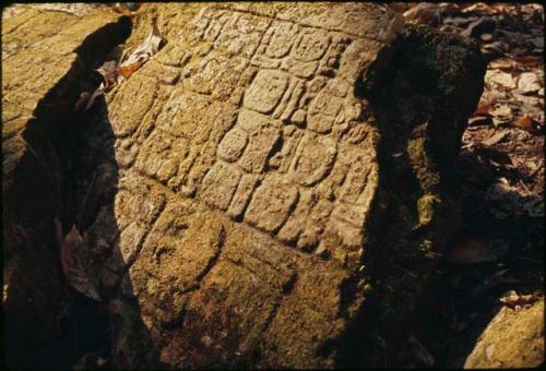 Ixkun, Stela 2, detail