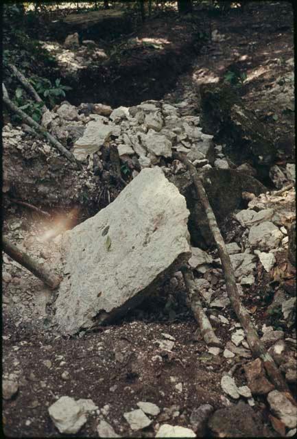 La Naya, Stela that was being thinned by looters