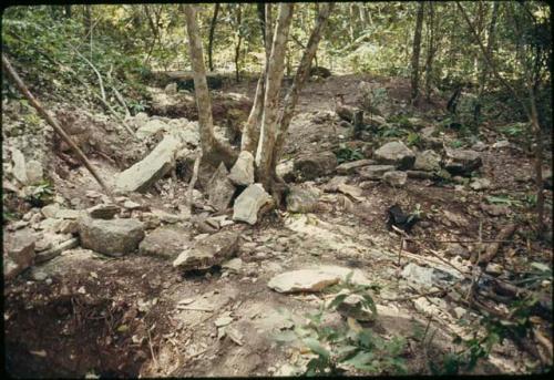 La Naya, looters' excavations