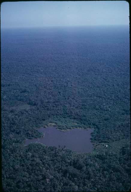 Aguada and hut north of Peten Itza, aerial view