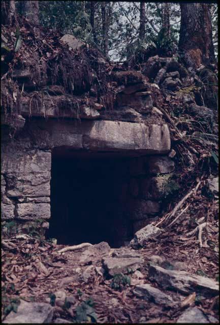 Yaxchilan, Lintel 42, Structure 42, central doorway