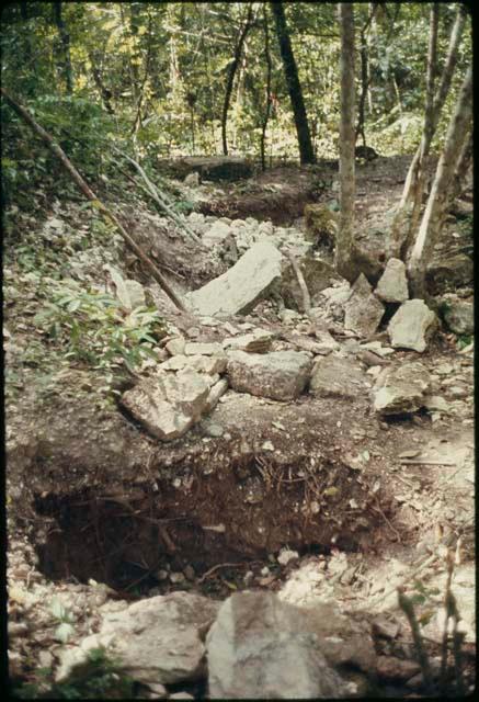 La Naya, looters' excavations