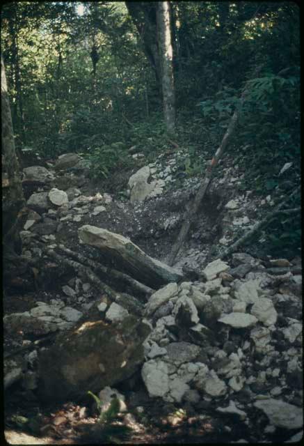 La Naya, stela thinned by looters