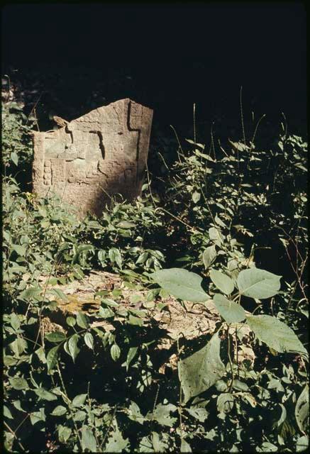 Naranjo, Stela 3