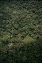 El Zapote, aguada and campsite from air