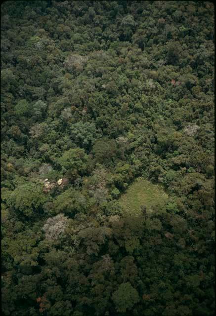 El Zapote, aguada and campsite from air