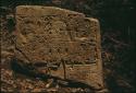 Yaxchilan, Stela 1, upper portion