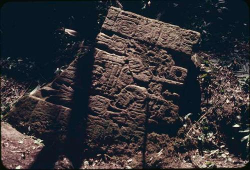 El Perú/Waka, Stela after cleaning
