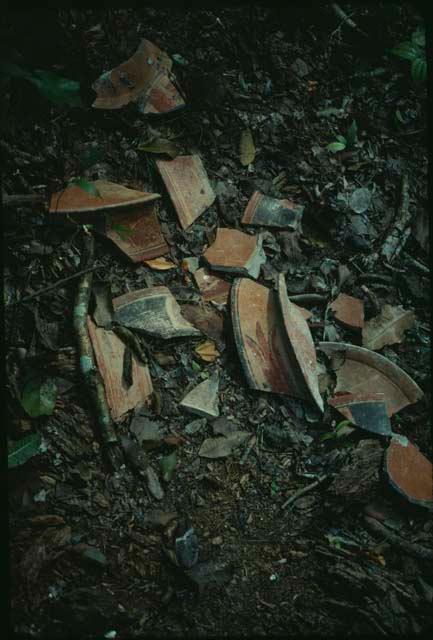 Naachtun, Polychrome plate discarded by looters