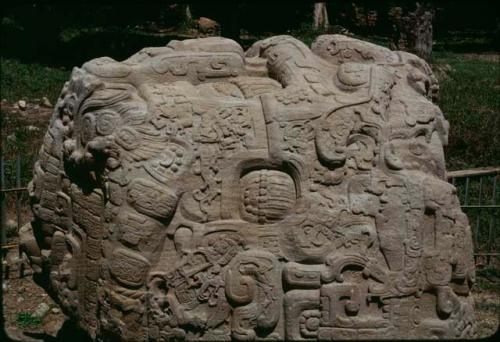 Quirigua, Zoomorph P, detail