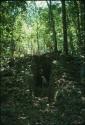 Ramonal, trench tunelled right through mound