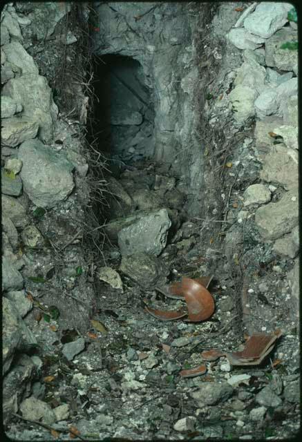 Naachtun, Looter's trench