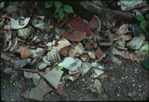 Río Azul, broken vessels discarded by looters