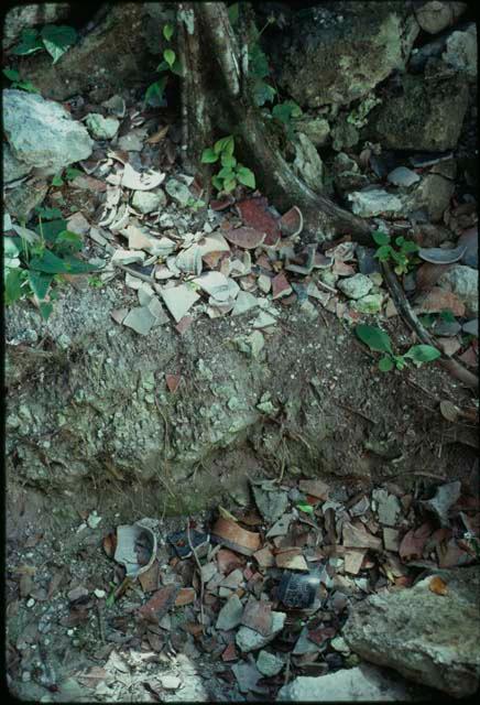 Río Azul, broken vessels discarded by looters