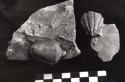 5 red slipped potsherds with hand and shell adornos