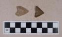 Chipped stone, concave base, triangular bifaces