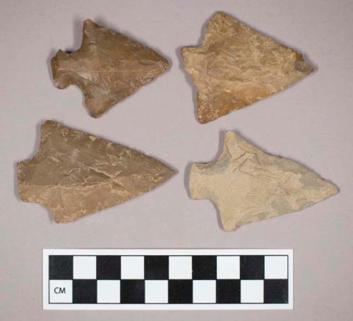 Chipped stone, stemmed triangular bifaces